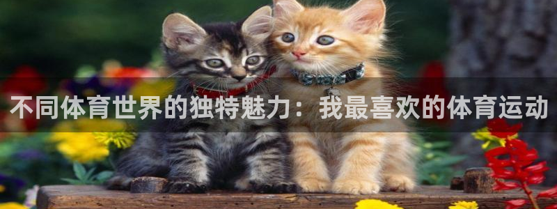 3377体育官方平台体育:不同体育世界的独特魅力:我最喜欢的