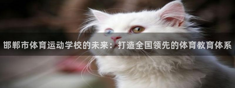 3377体育官方正版app集团logo:邯郸市体育运动学校的